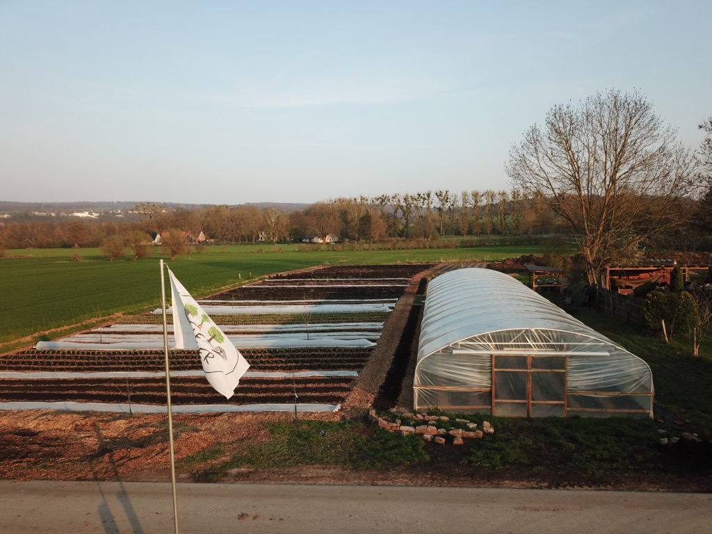 Helle Bauer market garden